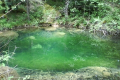 2008_goldseeliadventures_11_20090207_1065084458