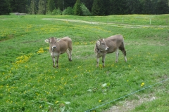 2008_wanderungrekog_127_20090207_1219322182